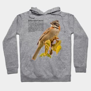 Rufous-collared sparrow bird Black text Hoodie